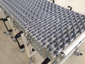 transportado flexível 2